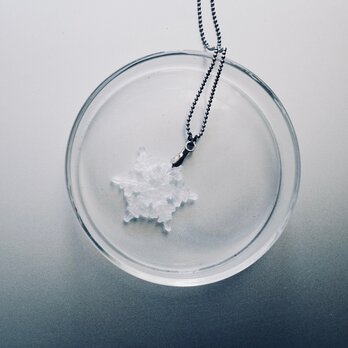 雪の結晶　標本ネックレスの画像