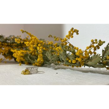 Mimosa Leaf Earcuffの画像
