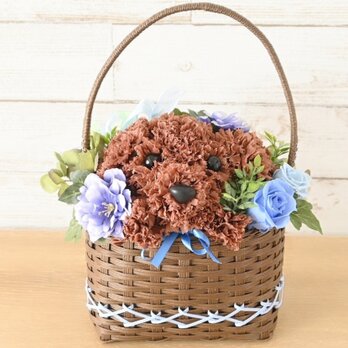 【トイプードル】ブルーの花 プリザーブドフラワー  バスケット カーネーション 犬 お供え 誕生日　ペット 花 プレゼントの画像