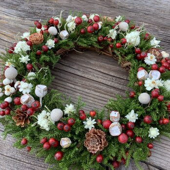 八ヶ岳〜ノイバラと木の実のWreathの画像