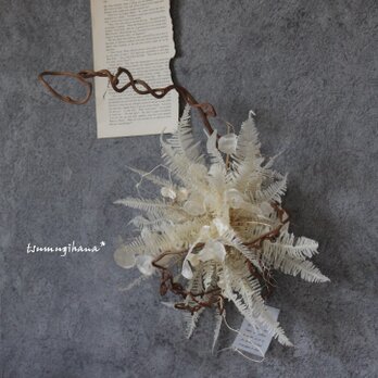 wreath  [Lys blanc]　山シダとキウイツルのリース№２　　　　ドライフラワーリース　　変わりリースの画像