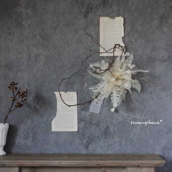 wreath  [Lys blanc]　山シダとキウイツルのリース№１　　　　ドライフラワーリース　　変わりリースの画像