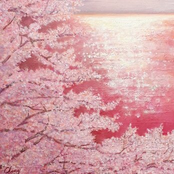 湖畔の桜の画像