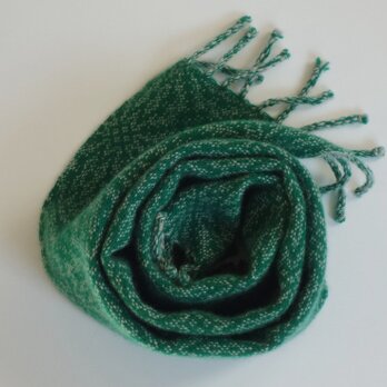 手織りカシミアマフラー・・緑×淡灰の画像