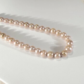 10、9-7ｍｍの本真珠（淡水パール）とSV925のネックレス（ナチュラルカラー、マルチカラー）の画像