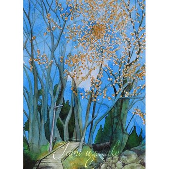 水彩画・原画「秋の林道」の画像