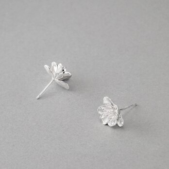 梨の花　ピアスの画像
