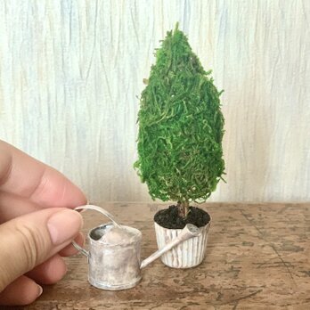 アンティークな観葉植物とジョウロのセット　ミニチュアの画像