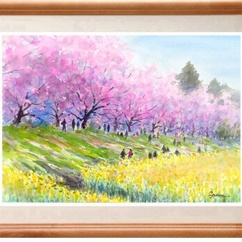 水彩画原画　桜堤と菜の花　＃590の画像