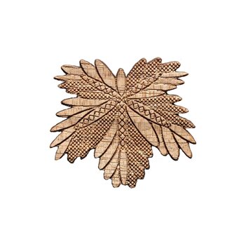 【木ｔｃｈ】クルミの木・ブローチ　プラタナス（platanus）の画像