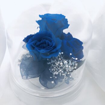 プリザーブドフラワー/ドームの中で咲く青い薔薇/ラッピング付きの画像