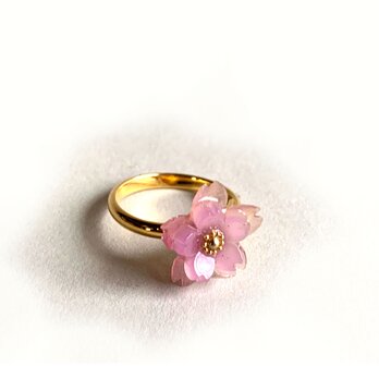 色が変わる♪八重桜の指輪の画像