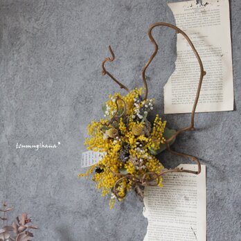 wreath「春の約束」№４　ミモザのキウイつるリース　　　ドライフラワーリース　　ミモザ　　ハーフリースの画像
