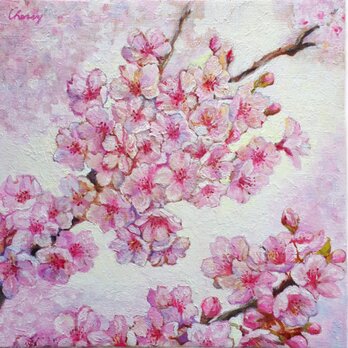 ビビットな桜の画像