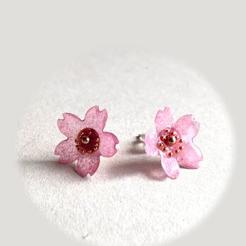 耳元で咲く♪シンプルな桜のピアスの画像