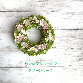 ☆桜とカモミールのグリーンリース☆　♯桜　♯サクラ　♯春のリースの画像