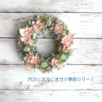 ☆桜とスカビオサの季節のリース☆ #桜のリース　♯春のリース　♯サクラの画像