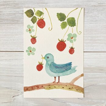 ポストカード2枚セット・水彩「苺と鳥」の画像