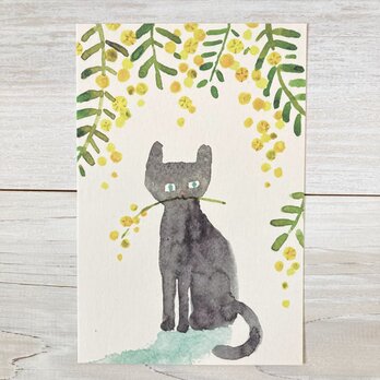 ポストカード2枚セット・水彩「ミモザと猫」の画像