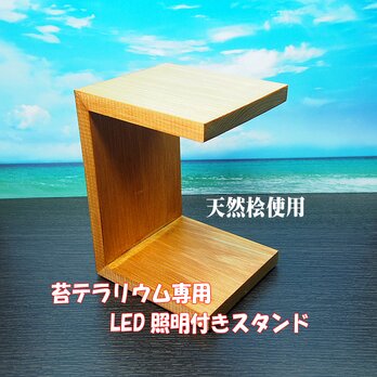 LED照明付き檜スタンド（苔テラリウム専用）メイプルの画像