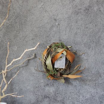 wreath　[眠る森]№３　　雲竜柳とグレビレアゴールドの小さなリース　　ドライフラワーリース　