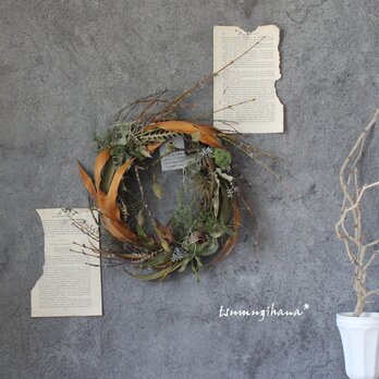 wreath　[眠る森]№４　　小豆柳とグレビレアゴールドのリース　　ドライフラワーリース　の画像