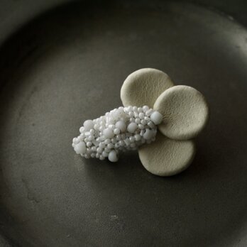 プチミニョンヌ　ラ　ブロシュ③