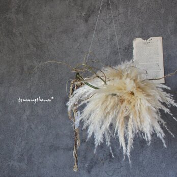 wreath [swan] №４　パンパスと雲竜柳のフライングリース　ドライフラワーリースの画像