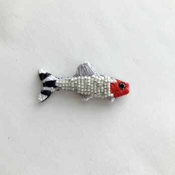 熱帯魚　"ラミーノーズテトラ"刺繍ビーズブローチの画像