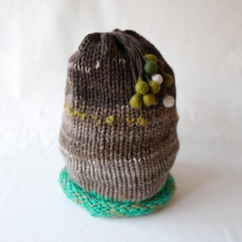 knit cap 「Ficus benjamina barok」の画像