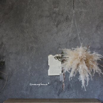 wreath [swan] №５　パンパスと雲竜柳のフライングリース　ドライフラワーリースの画像