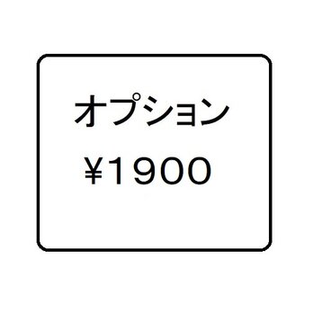 ★オプション（¥1,900）★の画像