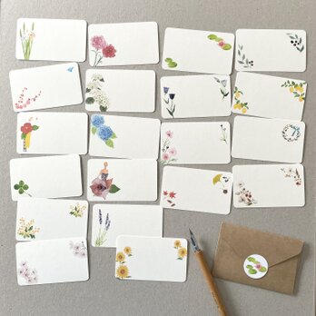 いろいろ植物メッセージカード 20枚の画像