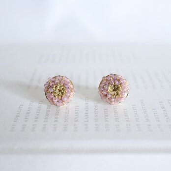sakura pierceの画像
