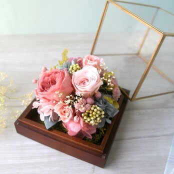 Iron gold  -apricot roses-の画像