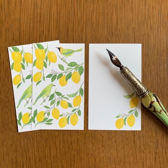 Message Card レモンと青羽木葉鳥の画像