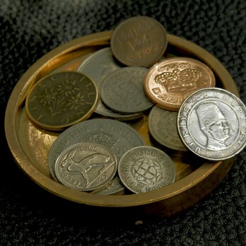 #L20 Turkey Coin Lapel Pinの画像