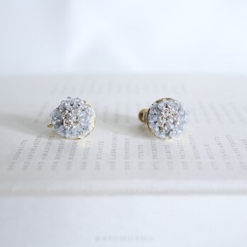 sky flower pierceの画像