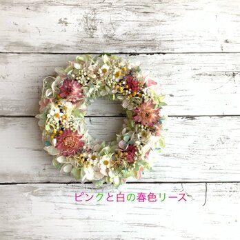 セール中☆ピンクと白の春色リース　#春のリース　#お祝いの花　#母の日の画像
