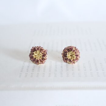berry color pierceの画像
