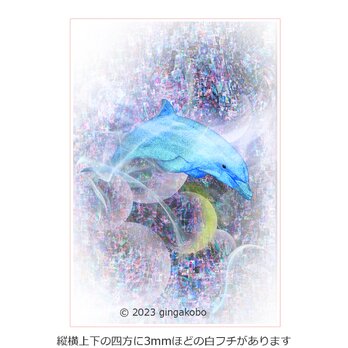 「流星になって」 月 星 イルカ　ほっこり癒しのイラストポストカード2枚組No.050の画像