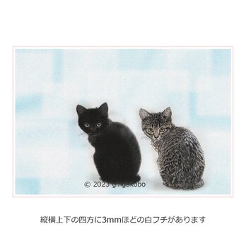 「ツーショット！」猫 点描　ほっこり癒しのイラストポストカード2枚組No.051の画像