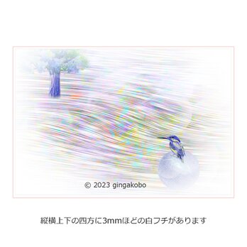 「風との話」カワセミ 鳥 川　ほっこり癒しのイラストポストカード2枚組No.053の画像
