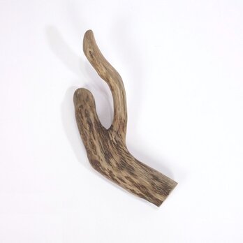 【温泉流木】かしげるように曲がるおしゃれな短い枝流木 流木素材 インテリア素材 オブジェ レイアウトの画像