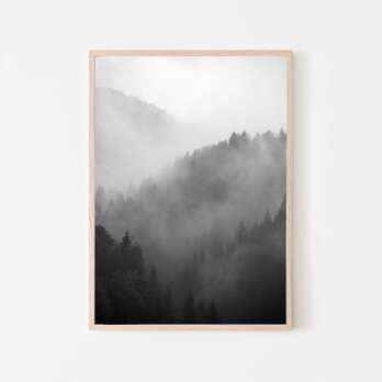 森と濃霧 / アートポスター 風景写真 アートプリント 自然 森林 forest foggy ミスト 白黒 モノクロの画像