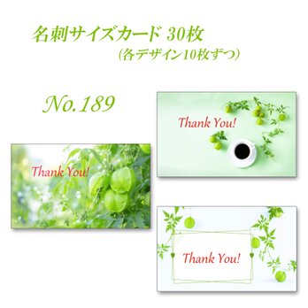 No.189 爽やかなグリーンのフウセンカズラ  名刺サイズカード　30枚の画像