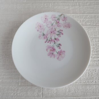 桜の小皿の画像