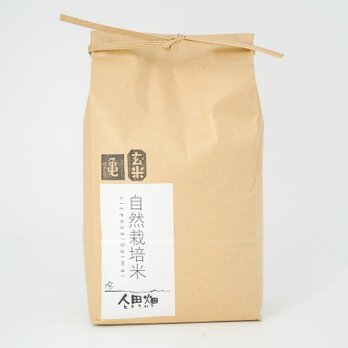 人田畑 亀の尾玄米 2kgの画像
