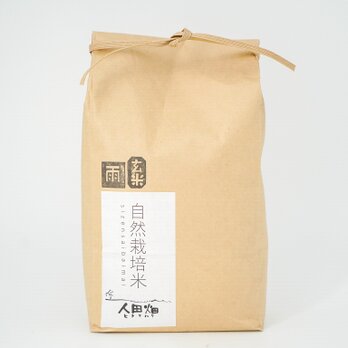 人田畑 ササシグレ 玄米 2kgの画像