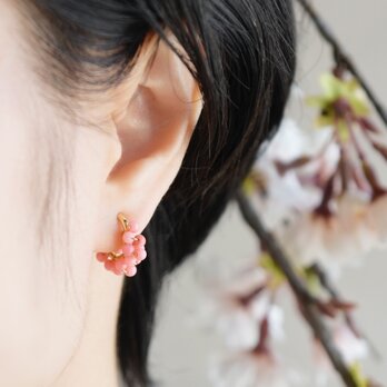 【イヤリング】桃色 ピンク珊瑚 レースフープ・小の画像